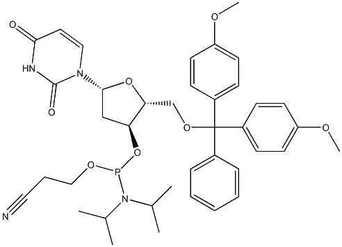 5'-DMT-dU ఫాస్ఫోరామిడైట్