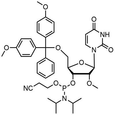 DMT-2'O-Methyl-rU ఫాస్ఫోరామిడైట్